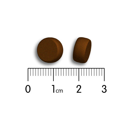 Taille croquette Référence chat