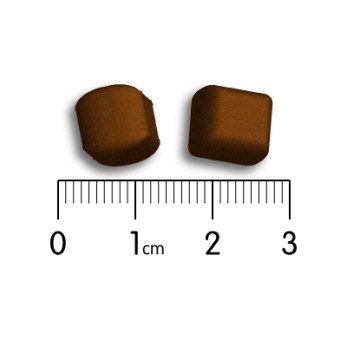 Taille croquette Référence chien
