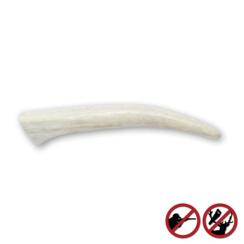 Bois de cerfs sauvages pour chien Amikinos taille XS