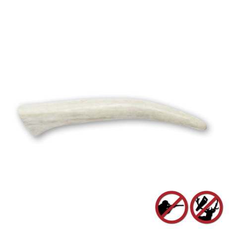 Bois de cerfs sauvages pour chien Amikinos taille XS