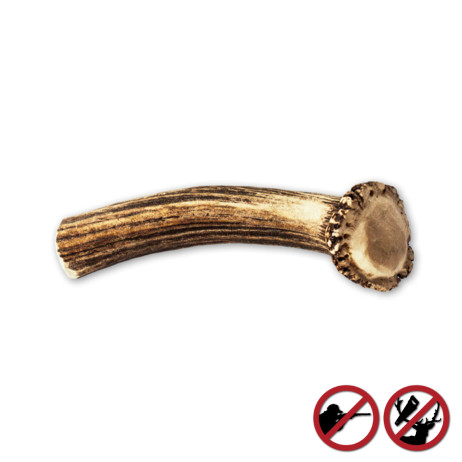 Bois de cerfs sauvages pour chien Amikinos taille L