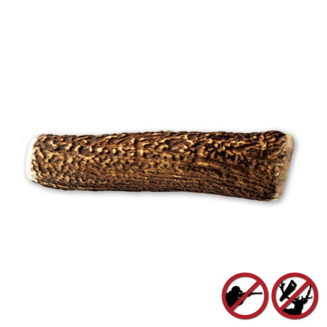 Bois de cerfs sauvages pour chien Amikinos taille XL