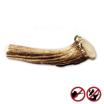 Bois de cerfs sauvages pour chien Amikinos taille XXL