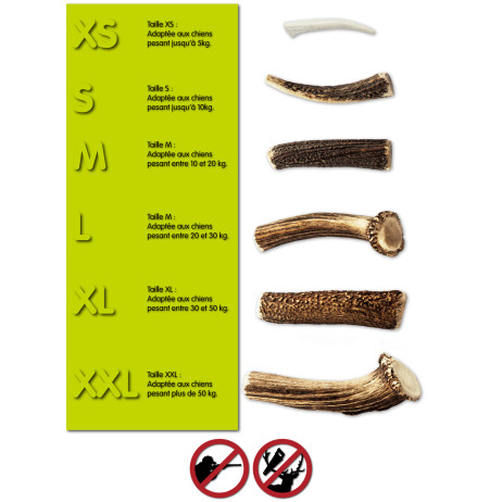 Tailles bois de cerfs sauvages pour chien Amikinos